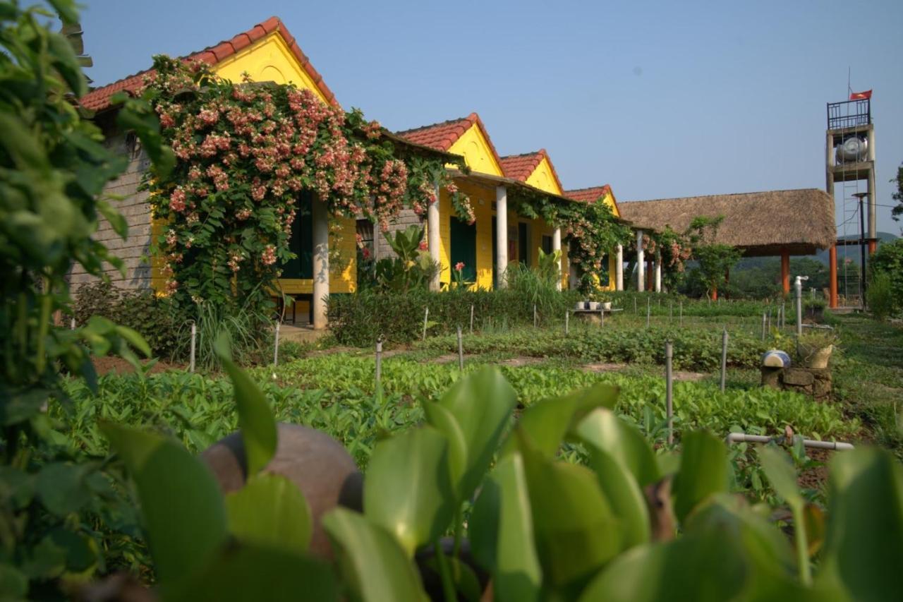 פונג נה Greenfield Ecostay מראה חיצוני תמונה